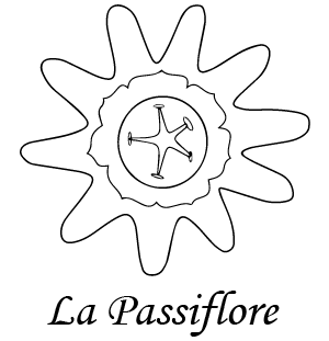 Logo de La Passiflore, chambres d'hôtes à Azé, près de Mâcon et Cluny