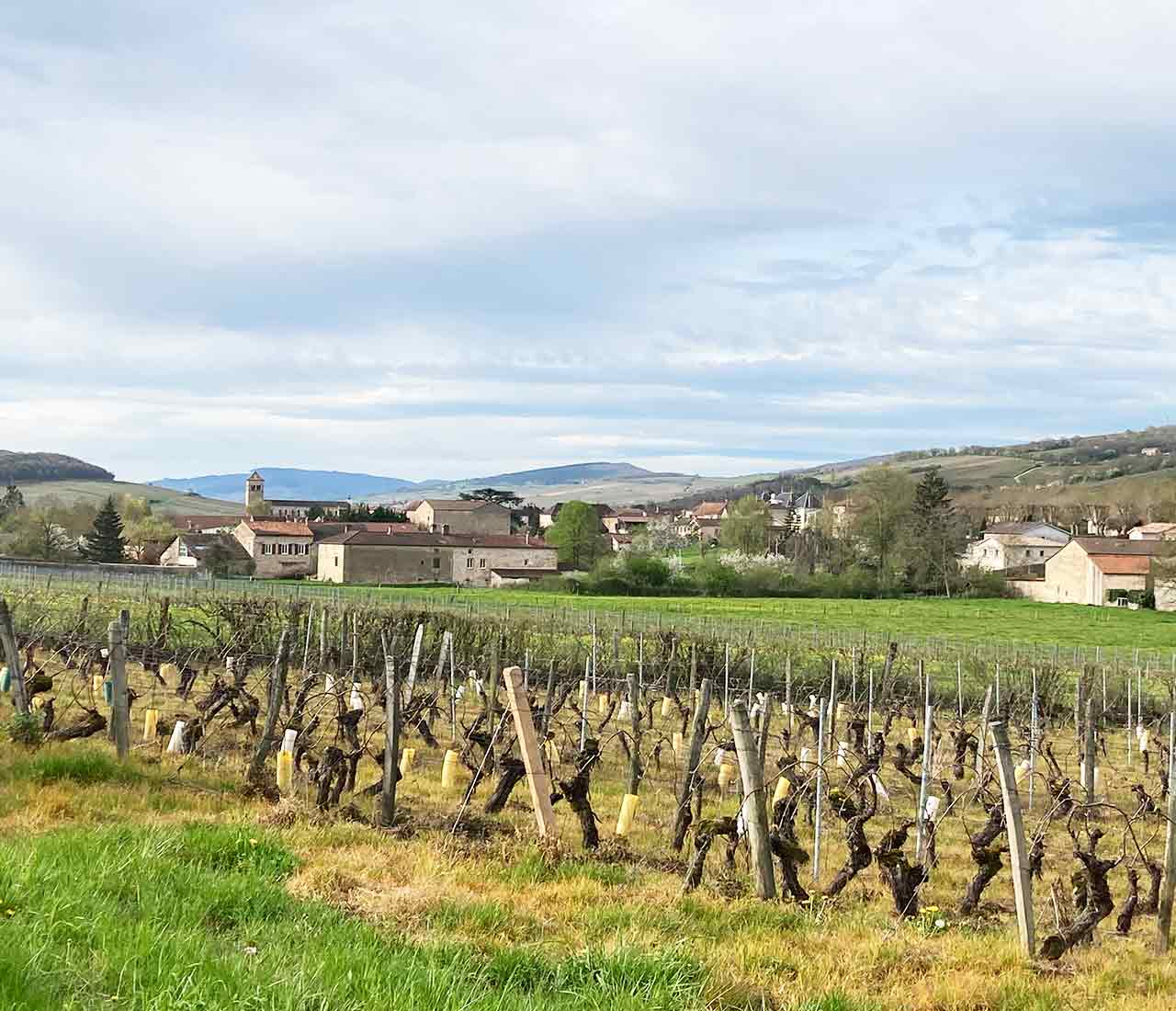 Azé, village typique du Mâconnais en Bourgogne du Sud.
