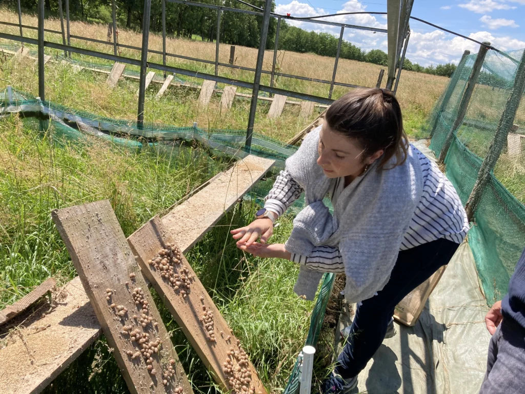Amandine, hélicicultrice dans l’Ain, productrice locale partenaire de La Passiflore – Escargots en élevage plein air