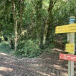 Circuits pédestres balisés au départ d'Azé