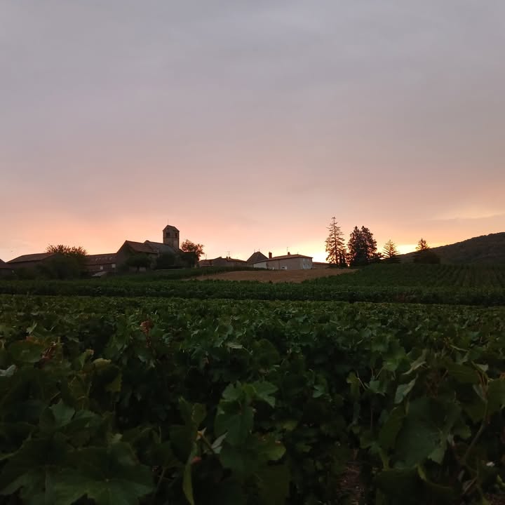 La Passiflore Azé