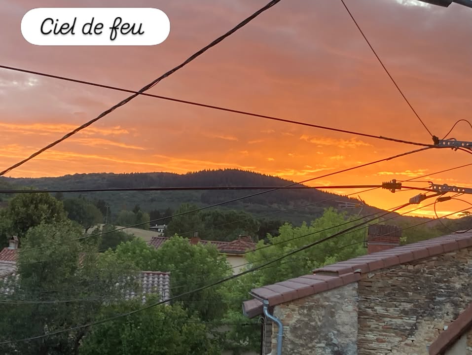 La Passiflore Azé